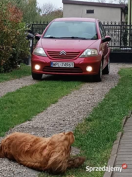 Obraz 3/4