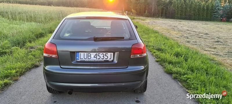 Używany 2003 Audi A3 Hatchback | 8200 zł (Uczciwa cena) - Obraz 1/4