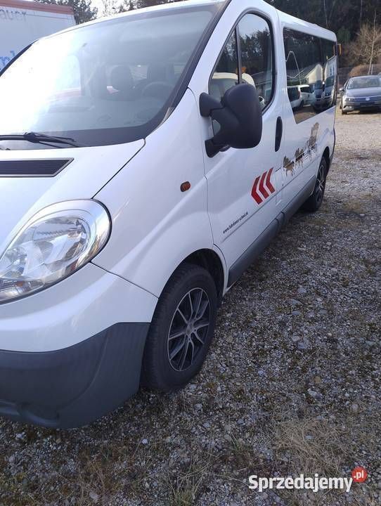 Używany 2012 Opel Vivaro Van | 32 900 zł (Uczciwa cena) - Obraz 1/4