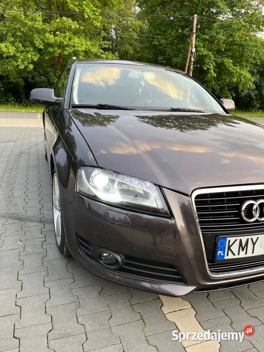 Czarny Używany 2010 Audi A3 Hatchback | 25 500 zł (Uczciwa cena) - Obraz 1/4