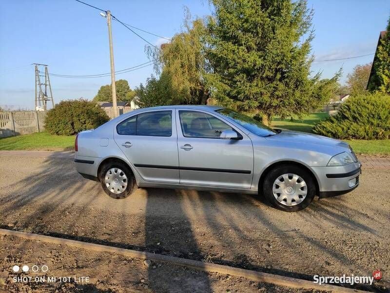 Używany 2007 Skoda Octavia | 16 900 zł (Drogi) - Obraz 1/4