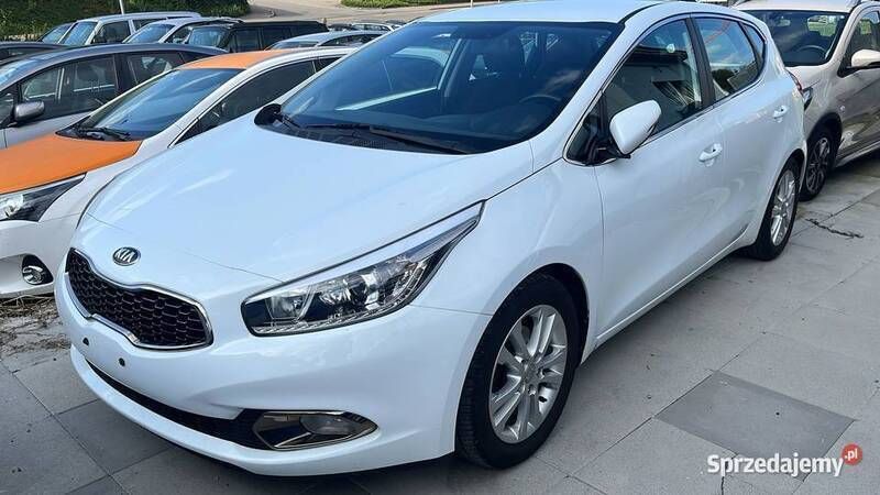 Biały Używany 2013 Kia Ceed Hatchback | 34 900 zł (Dość drogi) - Obraz 1/4