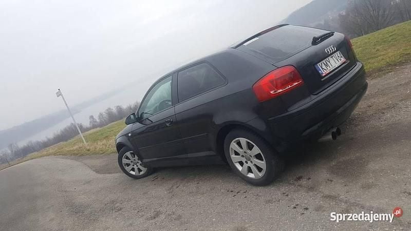 Czarny Używany 2005 Audi A3 Ambiente Hatchback | 9000 zł (Uczciwa cena) - Obraz 1/4