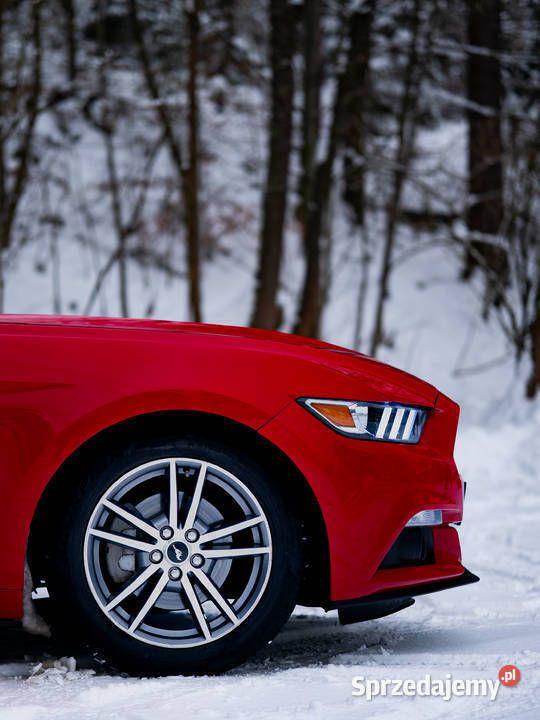 Używany 2017 Ford Mustang | 99 950 zł - Obraz 1/4