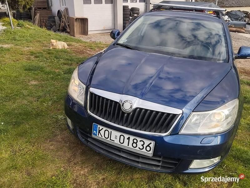Używany 2009 Skoda Octavia | 10 500 zł (Dobra cena) - Obraz 1/4