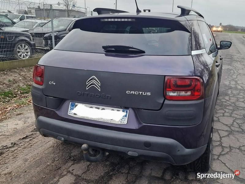 Używany Citroën C4 Cactus 99 KM (72 kW) 2015 Fioletowy Hatchback