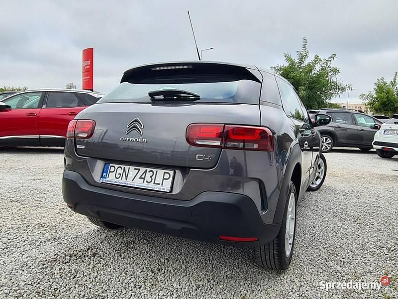 Szary Używany 2018 Citroën C4 Cactus Hatchback | 39 900 zł (Uczciwa cena) - Obraz 1/4