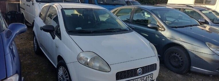 Biały Używany 2007 Fiat Grande Punto Hatchback | 7900 zł (Dość drogi) - Obraz 1/1