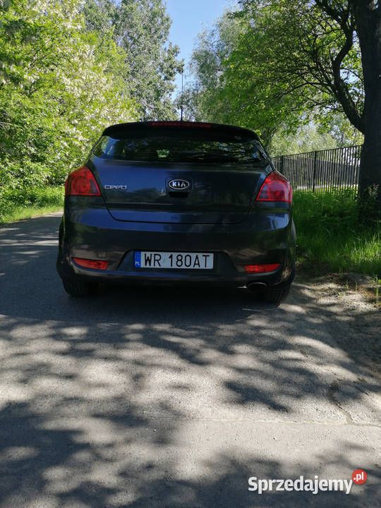 Obraz 3/4