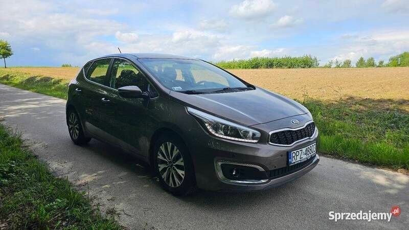 Brązowy Używany 2015 Kia Ceed Hatchback | 39 999 zł (Uczciwa cena) - Obraz 1/4