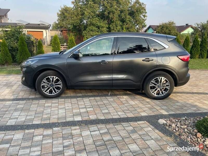 Używany Ford Escape SEL 2020 SUV