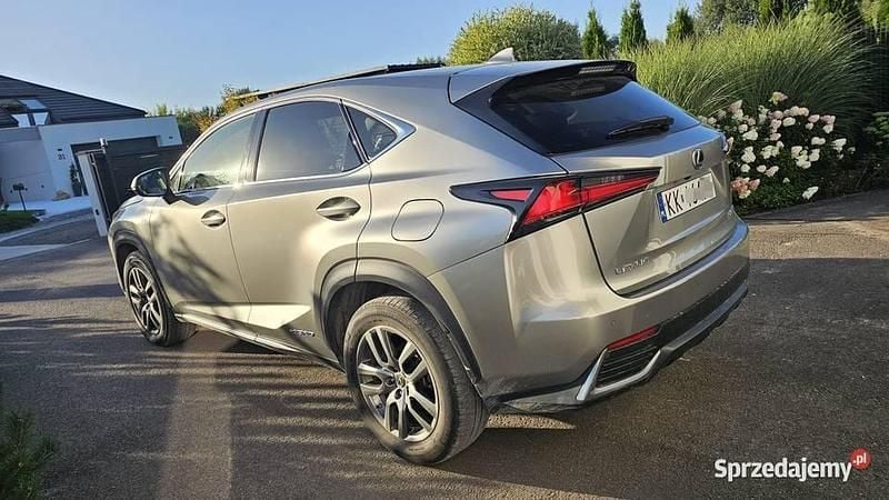 Używany 2019 Lexus NX300h SUV | 122 500 zł - Obraz 1/4