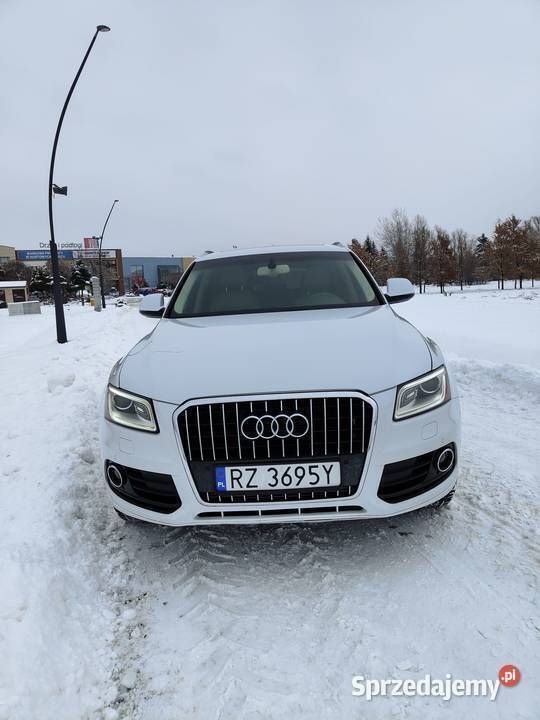 Używany 2015 Audi Q5 SUV | 72 999 zł (Dobra cena) - Obraz 1/4