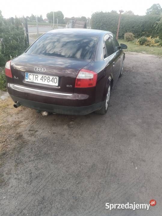 Obraz 2/4