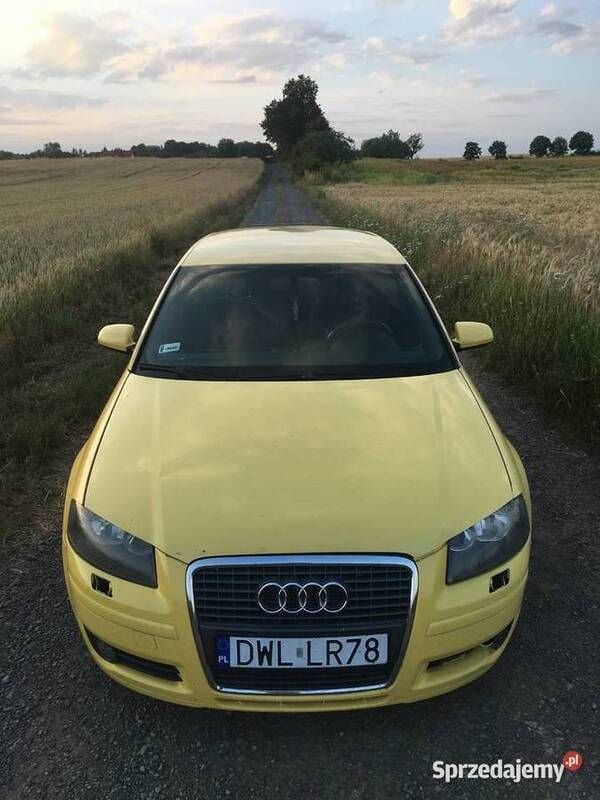 Używany 2005 Audi A3 | 9700 zł (Uczciwa cena) - Obraz 1/4