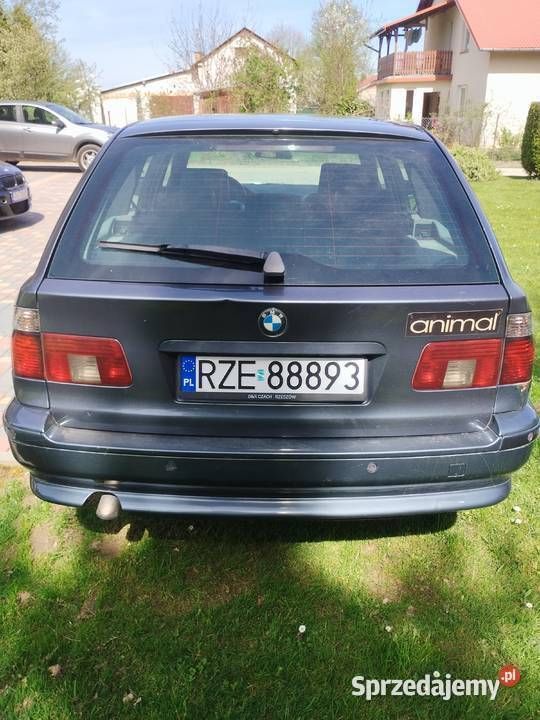 Obraz 2/4