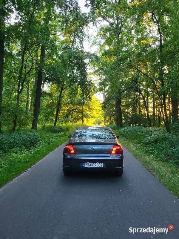 Używany Peugeot 407 110 KM (80 kW) 2007
