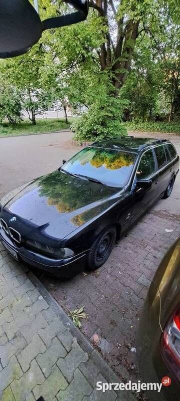 Używany 2002 BMW 525 | 4200 zł - Obraz 1/4