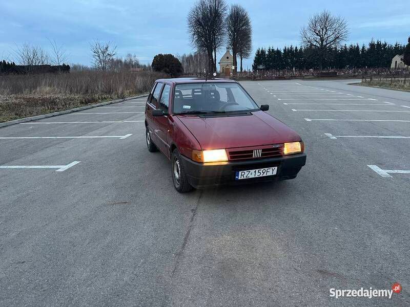 Obraz 3