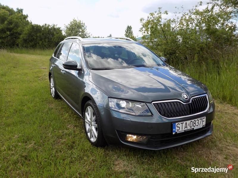 Używany 2014 Skoda Octavia | 33 800 zł (Drogi) - Obraz 1/4