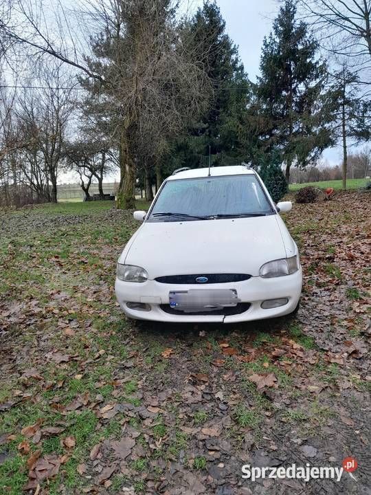 Biały Używany 1999 Ford Escort Kombi | 3700 zł - Obraz 1/4
