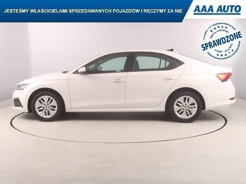 Obraz 4/4