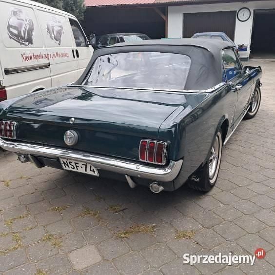 Używany Ford Mustang 1965 Kabriolet