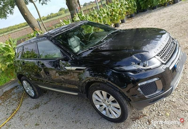 Używany Land Rover Range Rover evoque 150 KM (110 kW) 2017 Czarny SUV