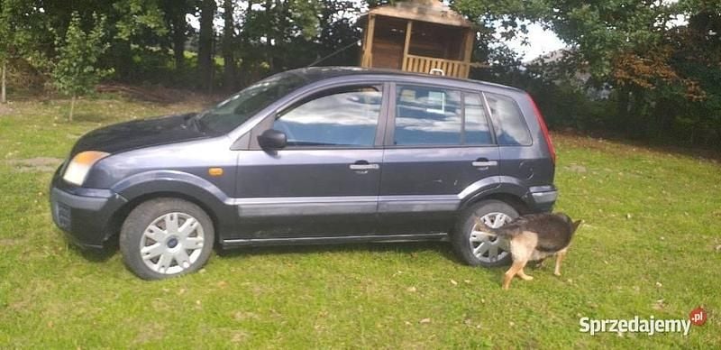 Grafitowy Używany 2006 Ford Fusion Kombi | 2150 zł (Dobra cena) - Obraz 1/4