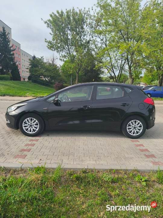 Obraz 4/4