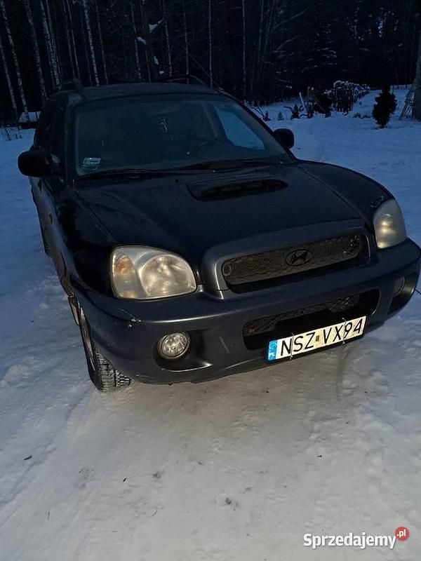 Używany Hyundai Santa Fe 2003 SUV