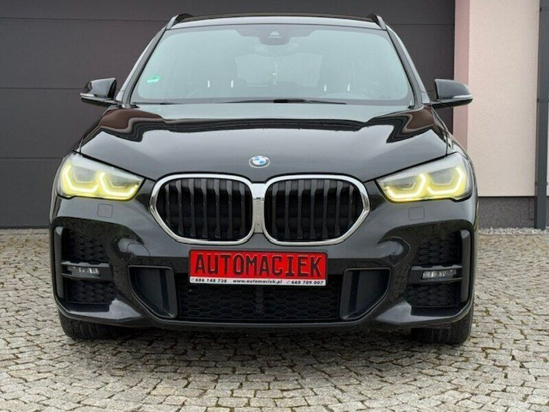 Obraz 4