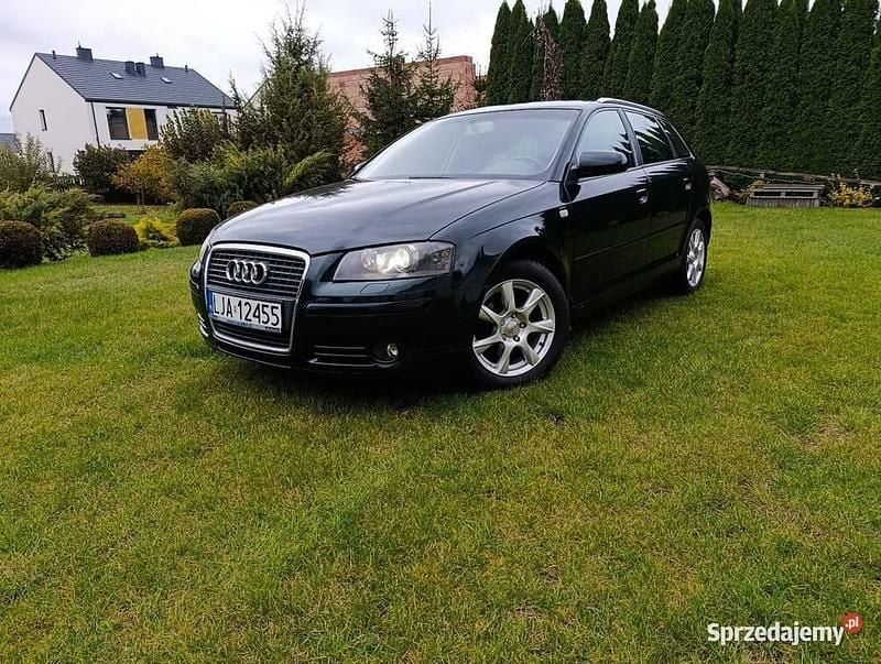 Zielony Używany 2008 Audi A3 Sportback Hatchback | 16 000 zł (Dobra cena) - Obraz 1/4