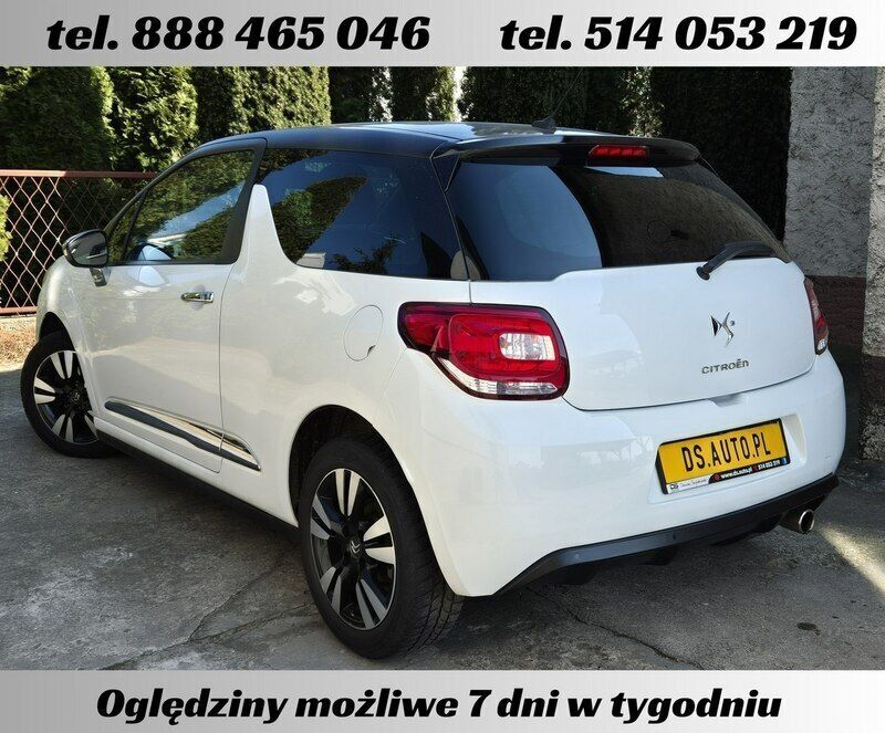 Obraz 4