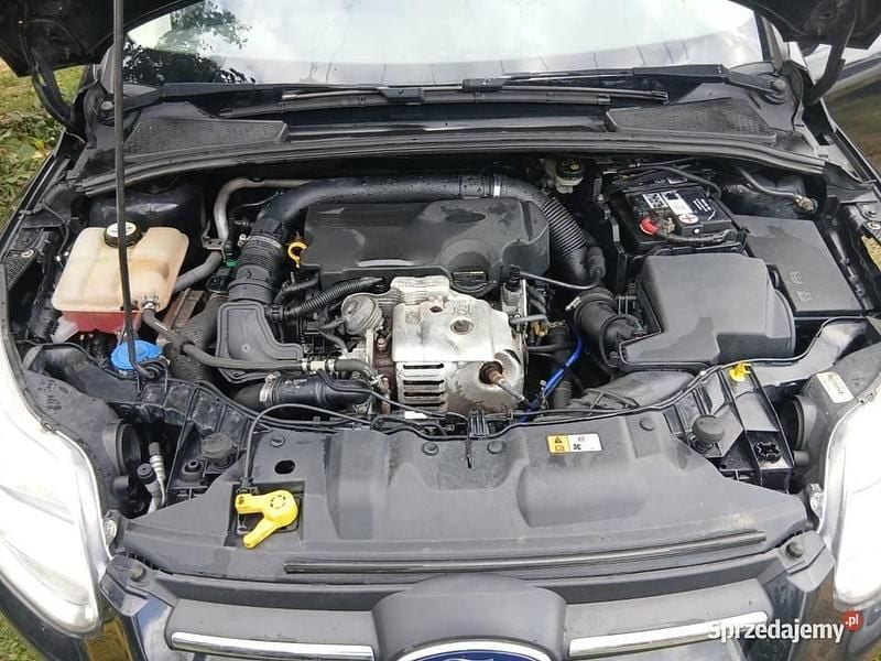 Używany Ford Focus 2013