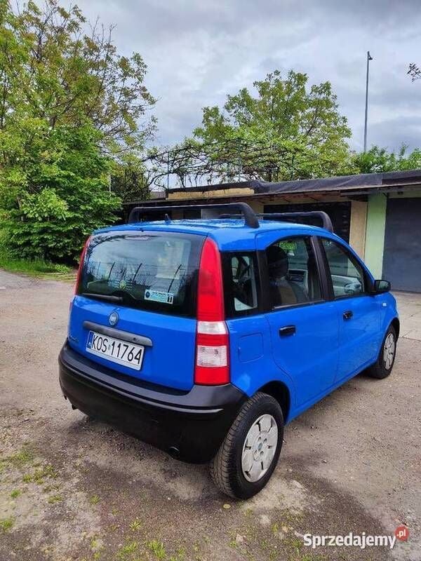 Niebieski Używany 2004 Fiat Panda Hatchback | 3500 zł (Uczciwa cena) - Obraz 1/4