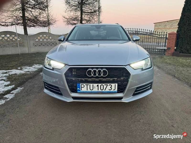 Używany Audi A4 2017 Kombi