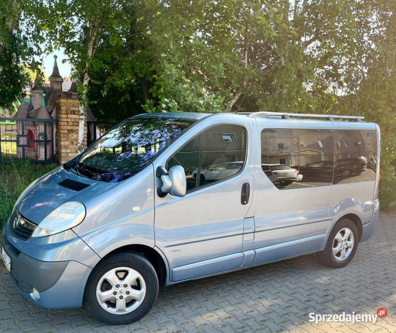 Używany 2010 Opel Vivaro Van | 45 555 zł - Obraz 1/4