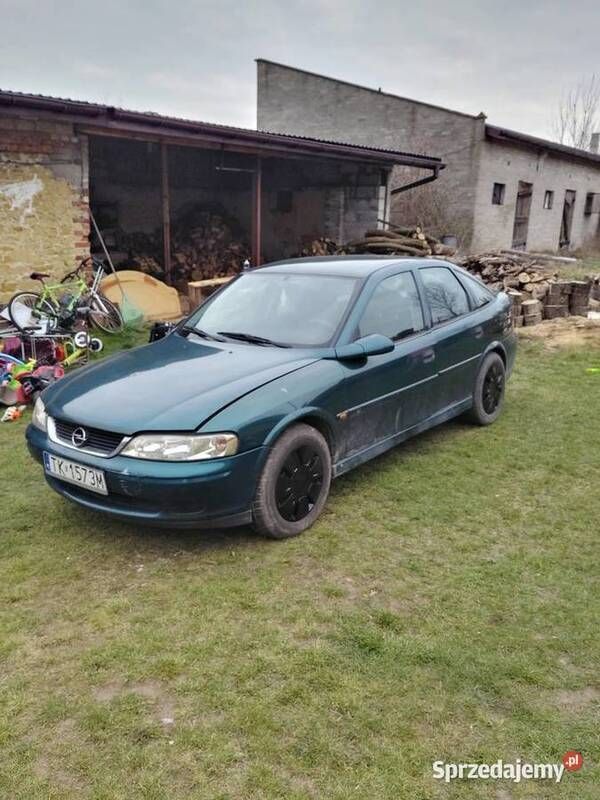 Obraz 4/4