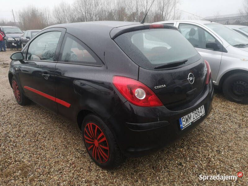 Obraz 3