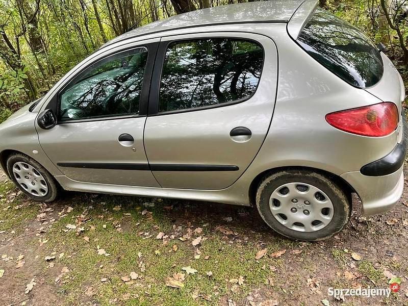 Używany Peugeot 206 2004