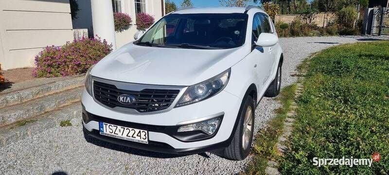 Obraz 4