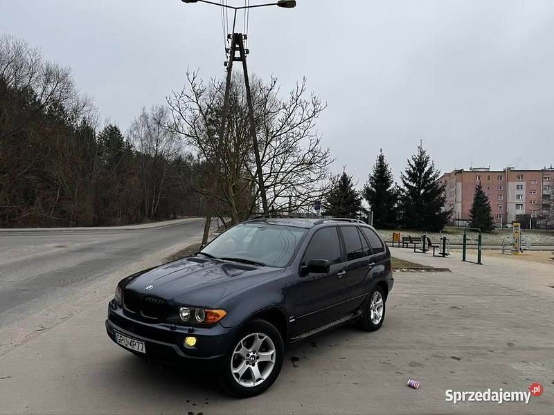 Używany BMW X5 2004 Niebieski SUV