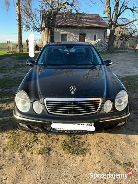 Obraz 3/4