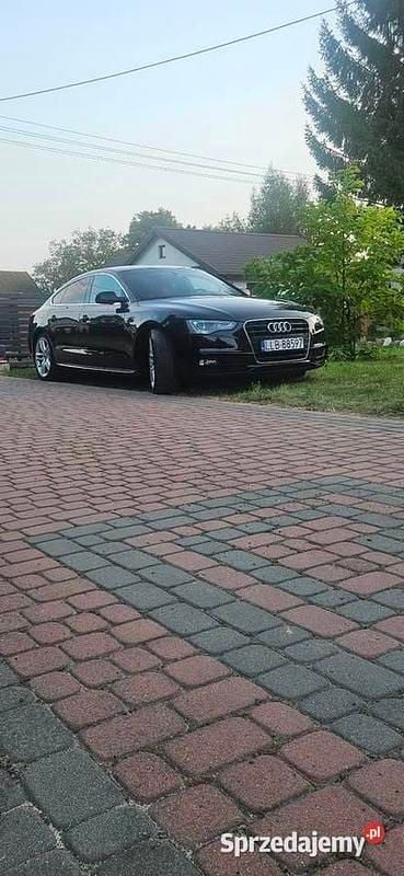 Czarny Używany 2014 Audi A5 Sportback Hatchback | 59 500 zł - Obraz 1/4