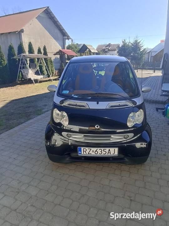 Obraz 2/4