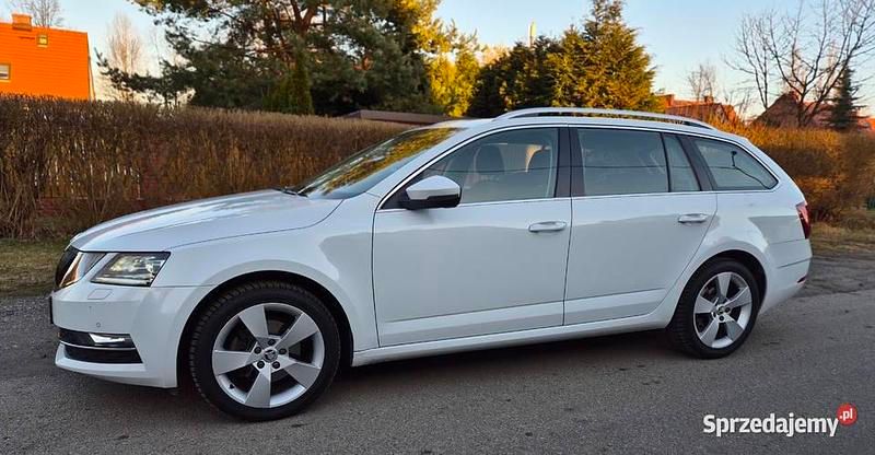Biały Używany 2017 Skoda Octavia Kombi | 52 000 zł (Dość drogi) - Obraz 1/4