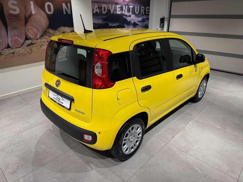 Nowe Fiat Panda Icon 70 KM (51 kW) 2025 Lakier pastelowy zółty positano Hatchback