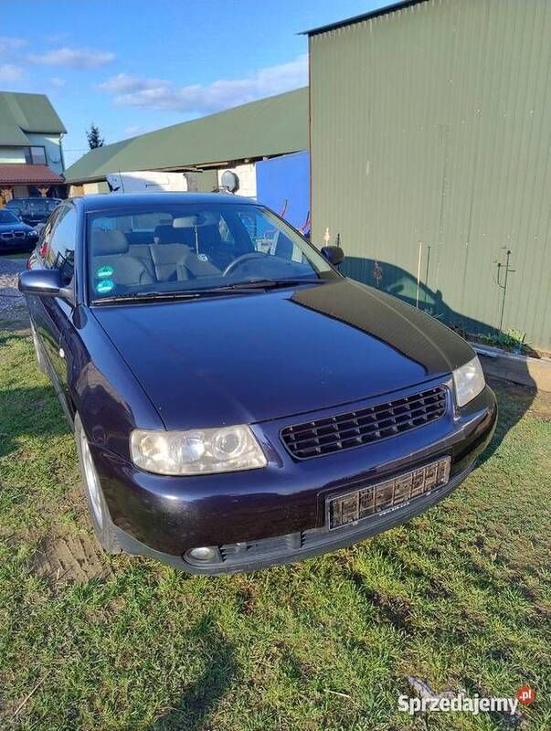 Granatowy Używany 2002 Audi A3 Hatchback | 4000 zł (Dobra cena) - Obraz 1/4