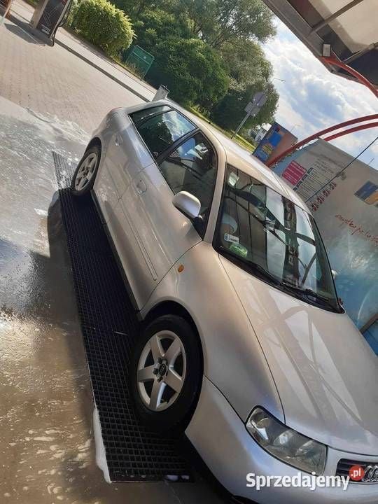 Obraz 3